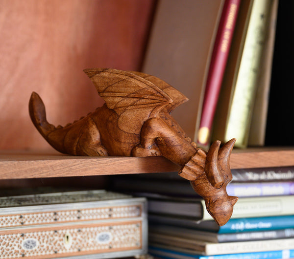 dragon on book shelf watching over