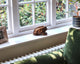 Wooden frog figurine on a windowsill with greenery outside