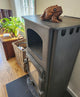 Wood-burning stove with a decorative frog on top in a room with table and plant.