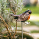 Robin Bird on Pot Stake in Garden