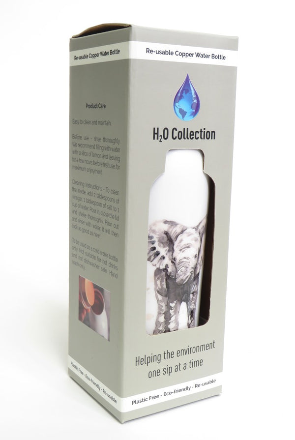 H2O collection, copper water bottle in box