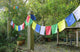 String all tibetan prayer flags - 5.5 metres long
